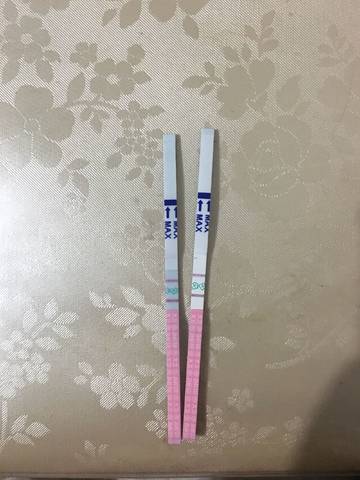 journal_insert_pic_1033493150