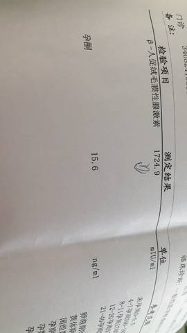 journal_insert_pic_1033488943