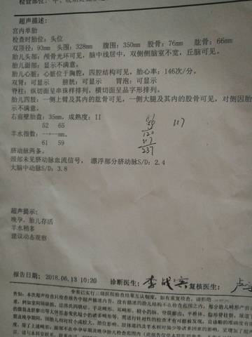 journal_insert_pic_1034080927