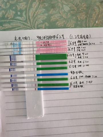 journal_insert_pic_1033674252