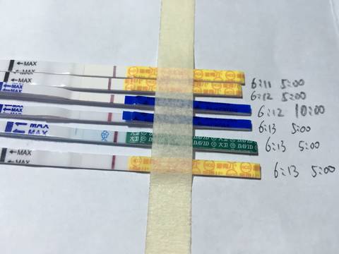 journal_insert_pic_1033631551