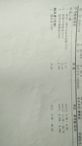 journal_insert_pic_1034175090