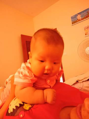 journal_insert_pic_1033917892