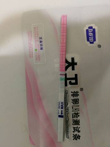 journal_insert_pic_1034806176