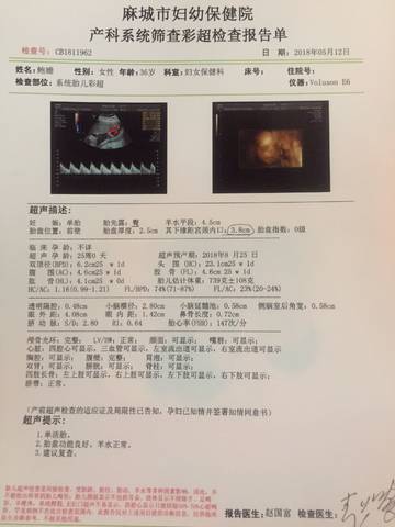 journal_insert_pic_1034631104