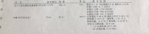 journal_insert_pic_1034785508