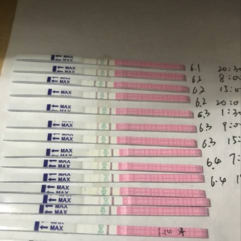 journal_insert_pic_1034775643