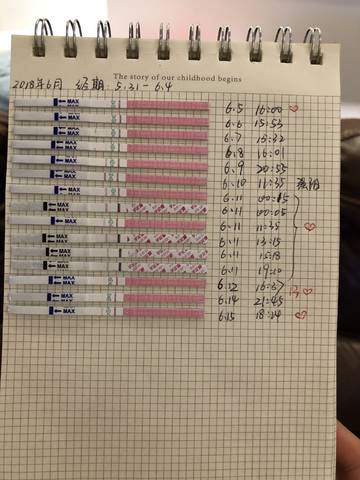 journal_insert_pic_1035407584