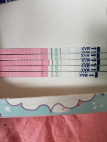 journal_insert_pic_1035034317