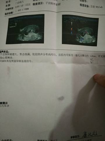 journal_insert_pic_1035385176