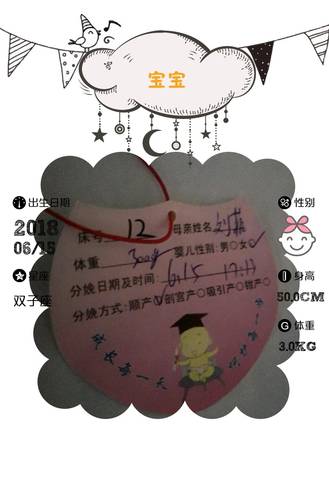 journal_insert_pic_1035640420
