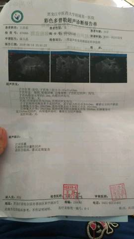 journal_insert_pic_1035784272