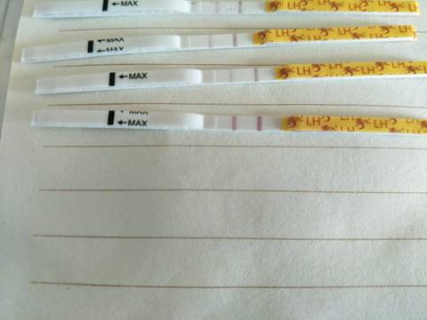 journal_insert_pic_1035751758