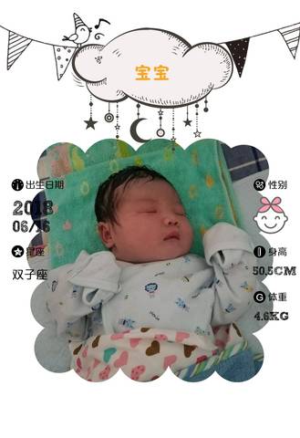 journal_insert_pic_1036219256