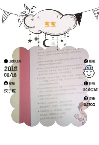 journal_insert_pic_1036421556