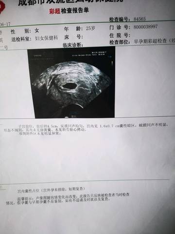 journal_insert_pic_1036347477