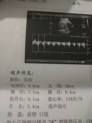 journal_insert_pic_1037448113