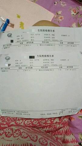 journal_insert_pic_1038021662
