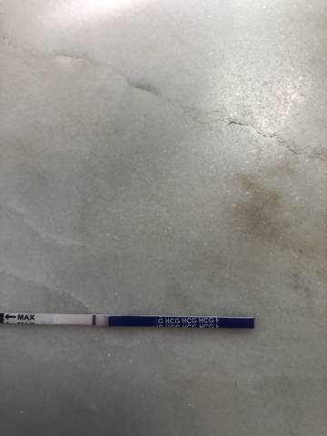 journal_insert_pic_1037920611