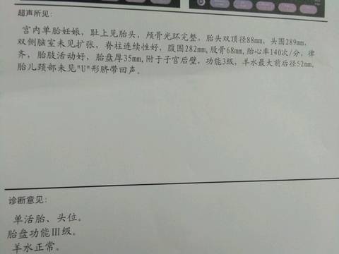 journal_insert_pic_1037792481