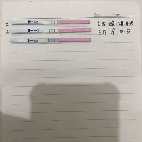 journal_insert_pic_1038099364