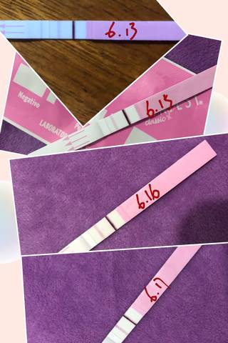 journal_insert_pic_1037797972