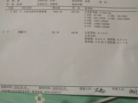 journal_insert_pic_1038017766
