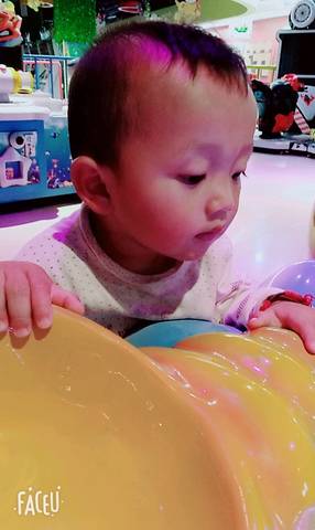 journal_insert_pic_1038765373