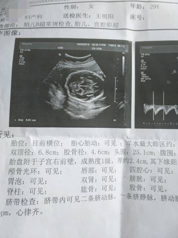 journal_insert_pic_1038449466