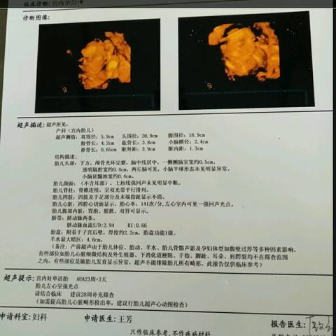 journal_insert_pic_1038526350