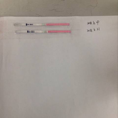 journal_insert_pic_1039378580