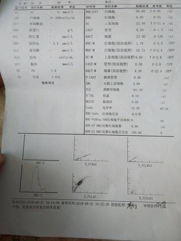 journal_insert_pic_1039348006