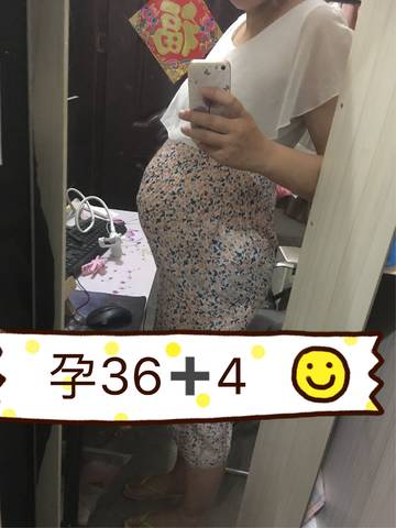 journal_insert_pic_1039560502