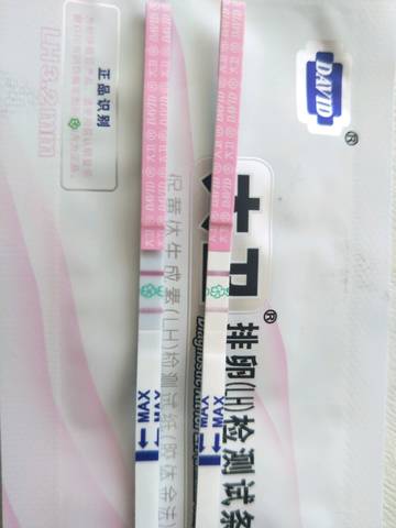journal_insert_pic_1039120035