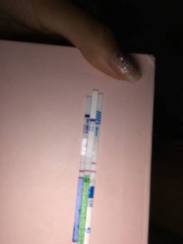 journal_insert_pic_1039132163