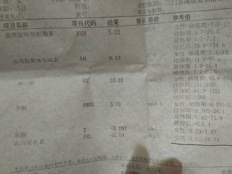 journal_insert_pic_1039871908