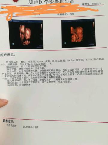 journal_insert_pic_1039856378