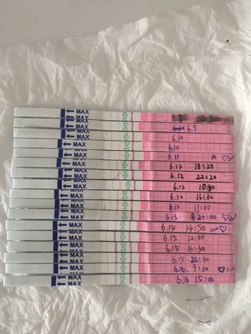 journal_insert_pic_1040039021