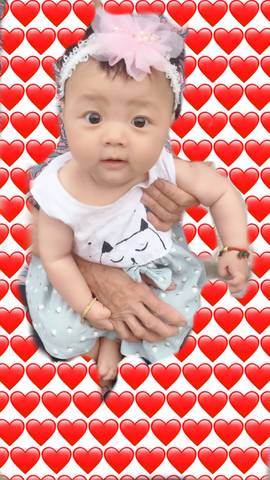 journal_insert_pic_1039934622
