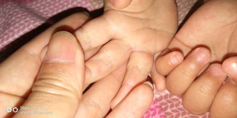 journal_insert_pic_1040881747