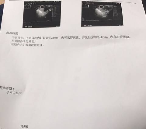 journal_insert_pic_1040554647