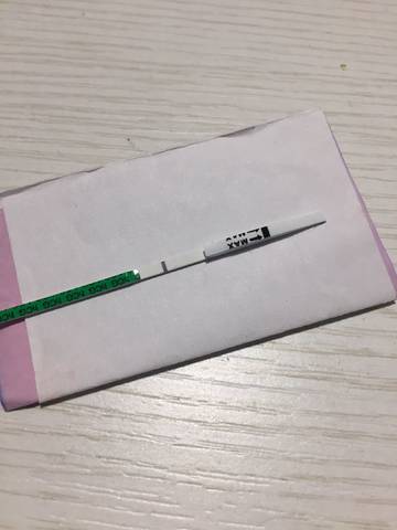 journal_insert_pic_1041474314