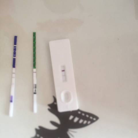 journal_insert_pic_1041303538
