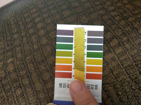 journal_insert_pic_1041245464