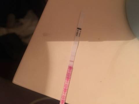 journal_insert_pic_1041723140