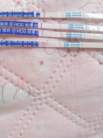 journal_insert_pic_1041104625
