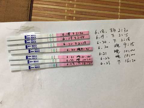 journal_insert_pic_1041653546