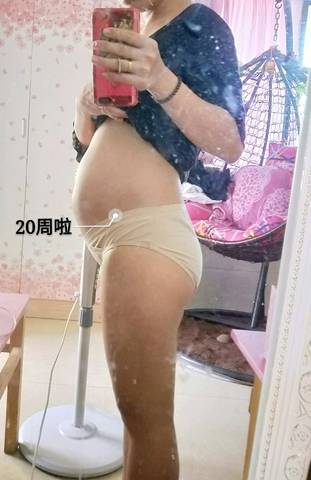 journal_insert_pic_1042230813