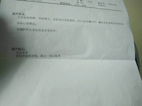 journal_insert_pic_1041874253