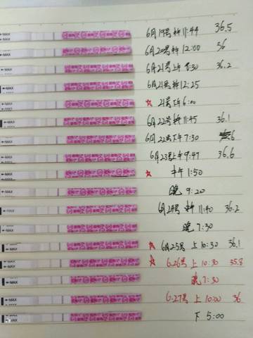 journal_insert_pic_1043642621